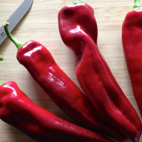 svit-poynt-11-179492