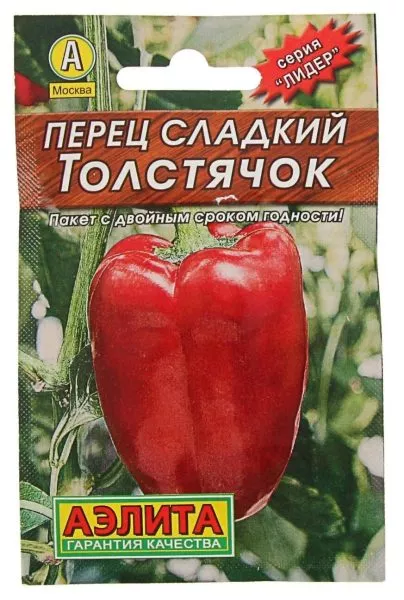 tolstyachok-2-188625