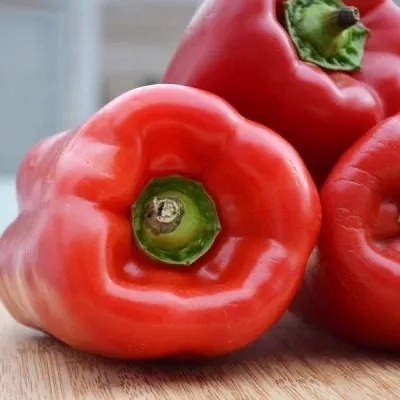 tolstyachok-3-188625