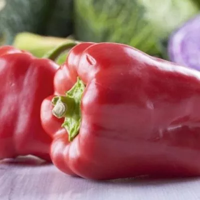 tolstyachok-4-188625