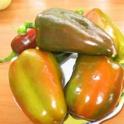 tolstyachok-5-188625