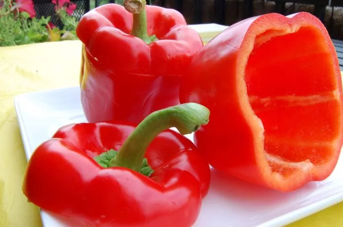 tolstyy-barin-main-183518