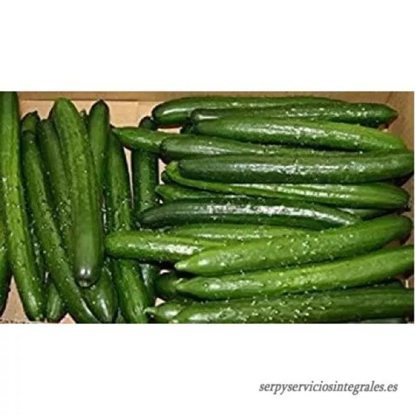 tri-kitaytsa-main-198335