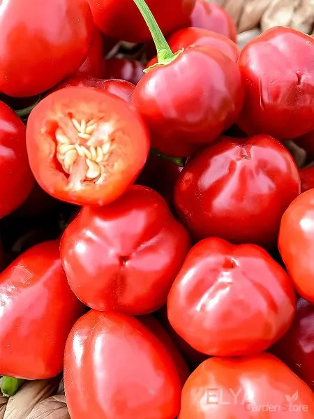 tryufelek-krasnyy-2-190433