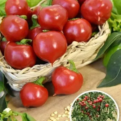 tryufelek-krasnyy-6-190433