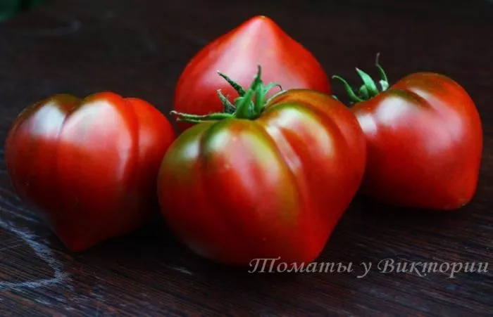 tryufelnoe-serdtse-niny-10-175836