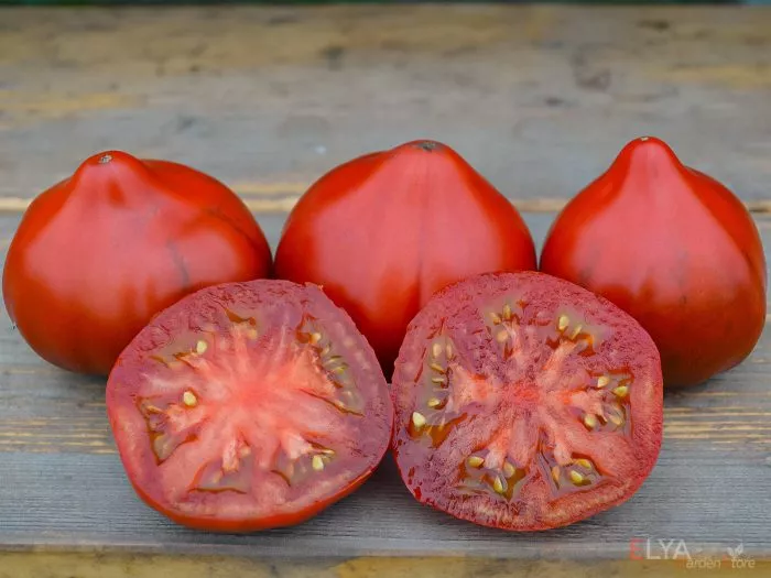 tryufelnoe-serdtse-niny-3-175836