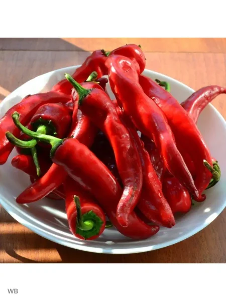 tsitsak-armyanskiy-5-190909