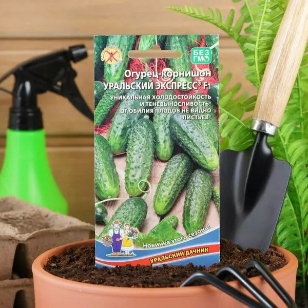 uralskiy-ekspress-1-200965