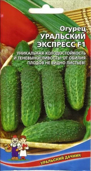 uralskiy-ekspress-2-200965