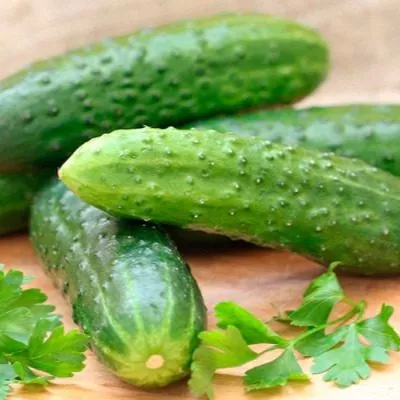 uralskiy-ekspress-4-200965