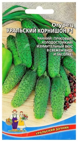 uralskiy-kornishon-1-200478