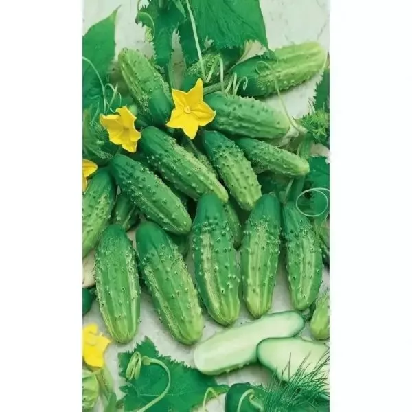 uralskiy-kornishon-2-200478