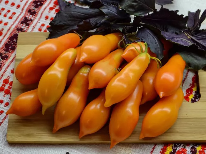 valentino-main-176117