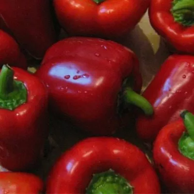 velikolepnyy-vek-2-188337