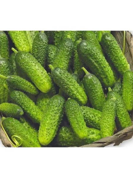 vnuchenka-main-198479