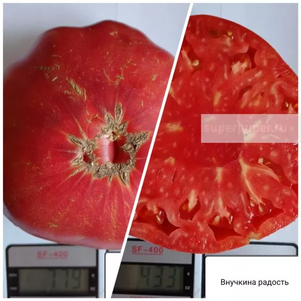 vnuchkina-radost-2-172440