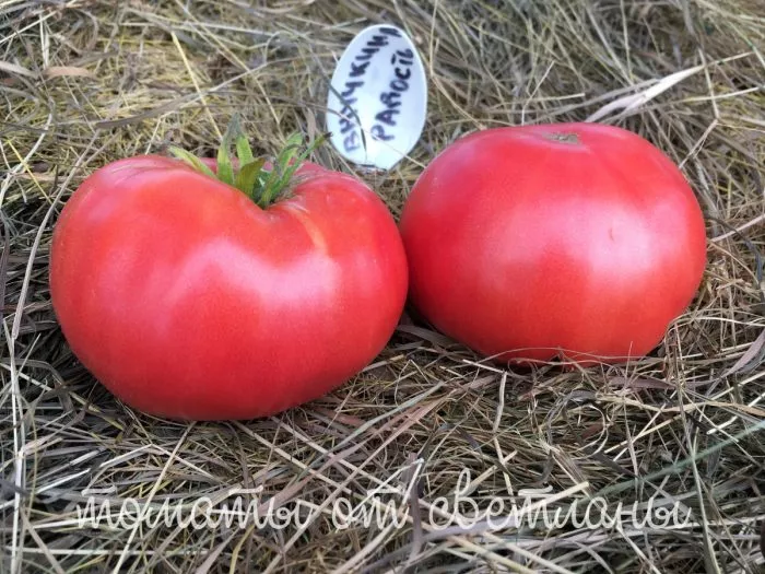 vnuchkina-radost-3-172440