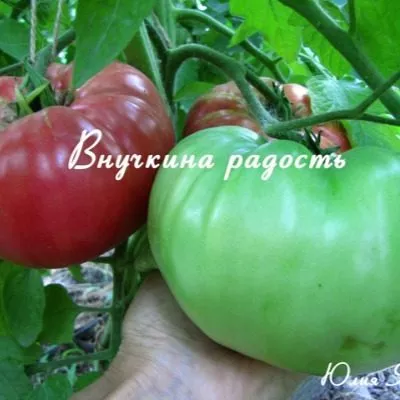 vnuchkina-radost-6-172440