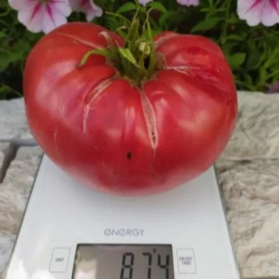 vnuchkina-radost-7-172440