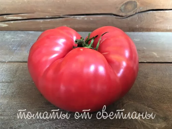 vnuchkina-radost-main-172440