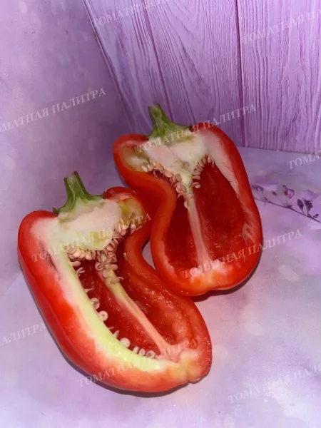 voronezhskiy-7-186395