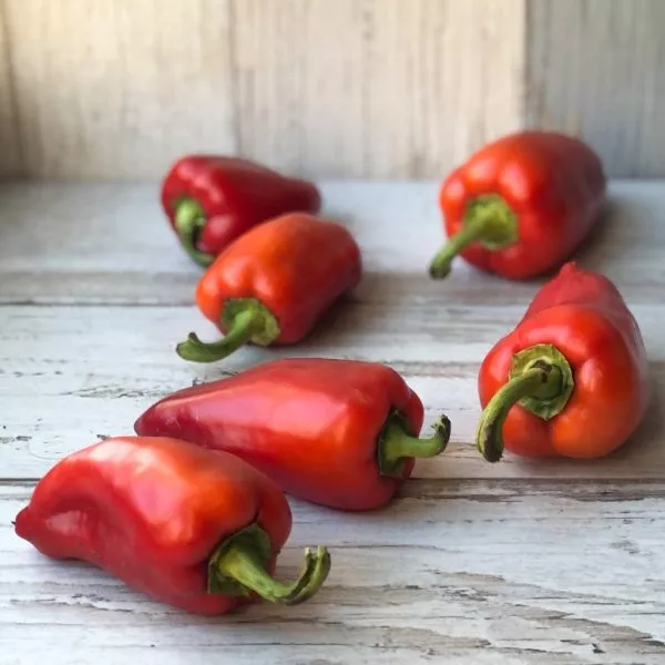 voronezhskiy-8-186395