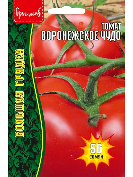 voronezhskoe-chudo-1-175221