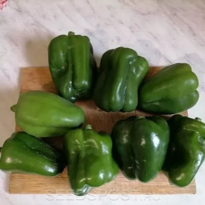 vozhd-krasnokozhih-6-188192