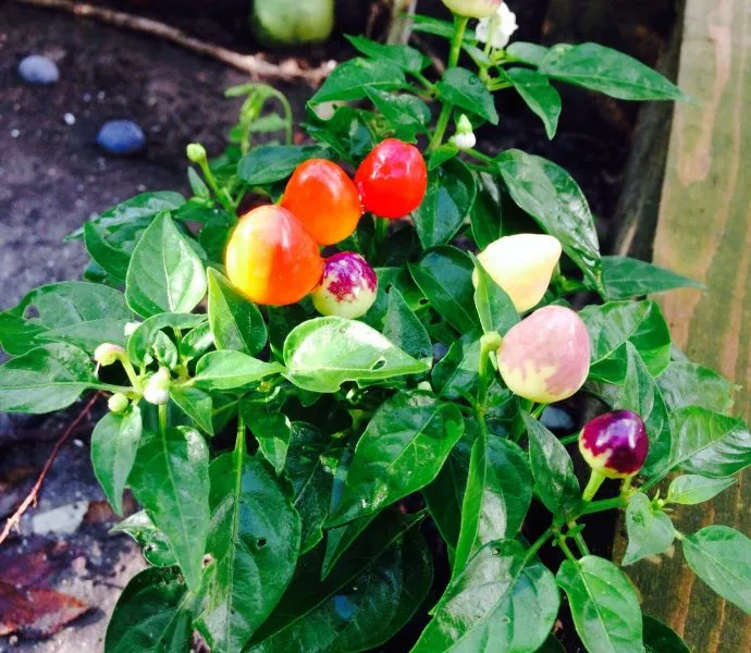 vse-nebo-v-zvezdah-1-187378