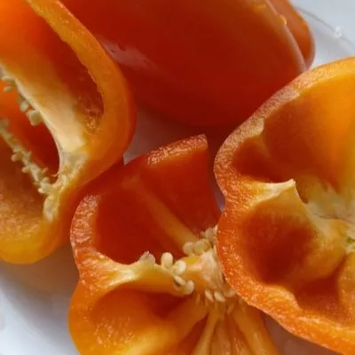 yantarnyy-byk-5-187119