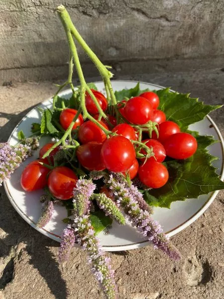 yaponskaya-kist-4-172542