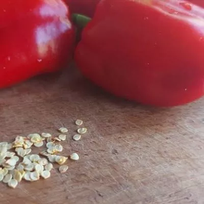 zamoroz-menya-3-181025