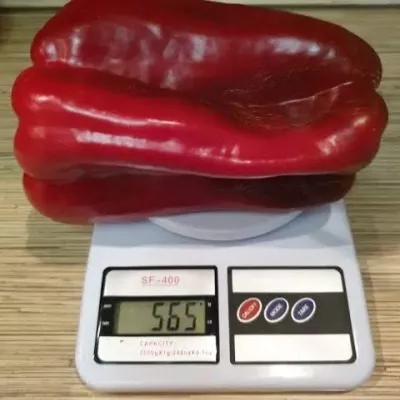 zamoroz-menya-main-181025