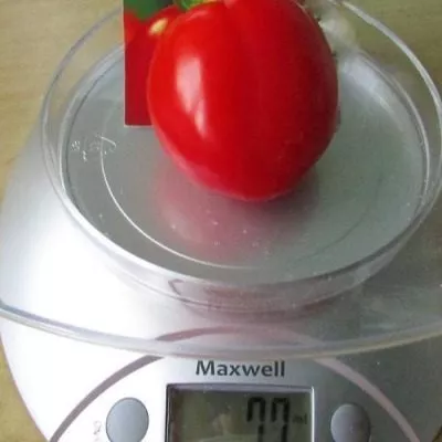 zasolochnoe-chudo-7-176164