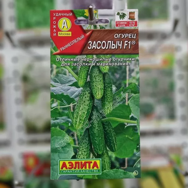 zasolych-f1-1-200400