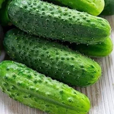 zasolych-f1-3-200400