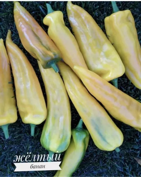 zheltyy-banan-1-182448