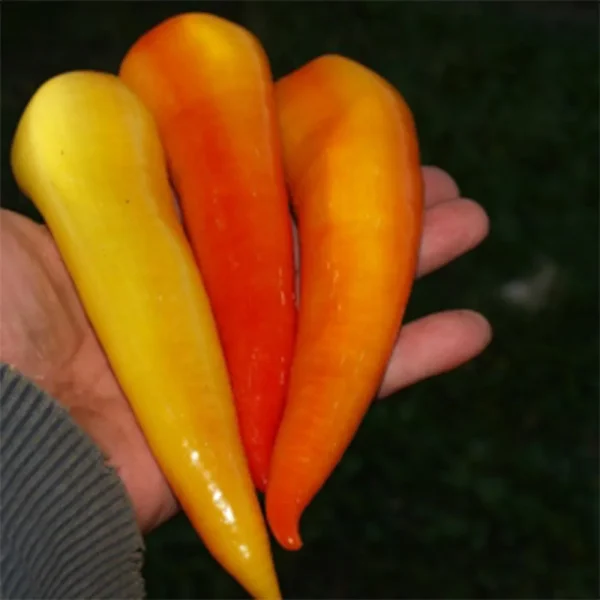 zheltyy-banan-4-182448