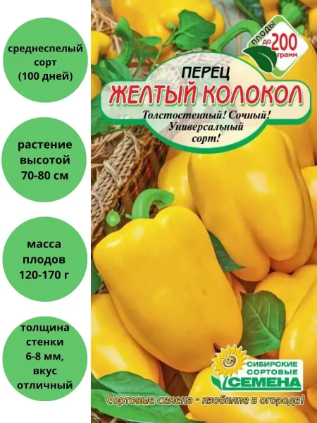 zheltyy-kolokol-4-185196