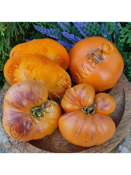 zheltyy-mramor-10-171862