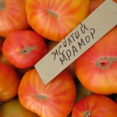 zheltyy-mramor-11-171862