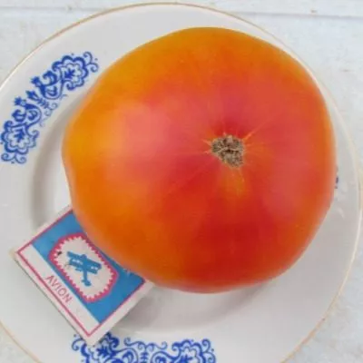 zheltyy-mramor-12-171862