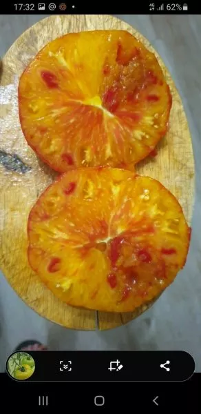 zheltyy-mramor-7-171862