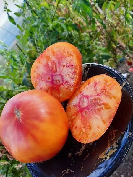 zheltyy-mramor-8-171862