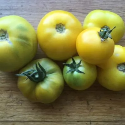 zheltyy-shar-2-175528