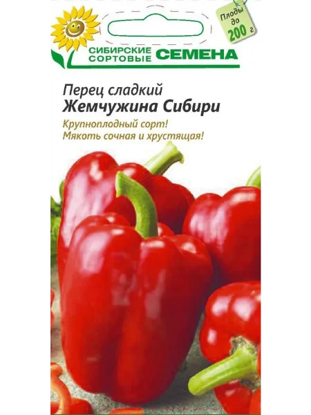 zhemchuzhina-sibiri-1-186131