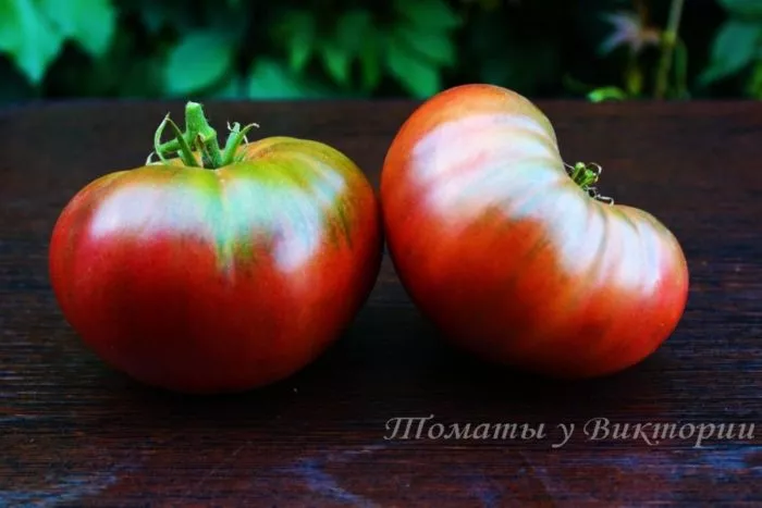 zhenskiy-kapriz-3-176023