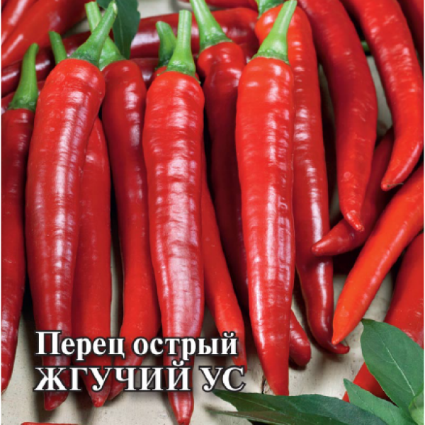 zhguchiy-us-3-185491