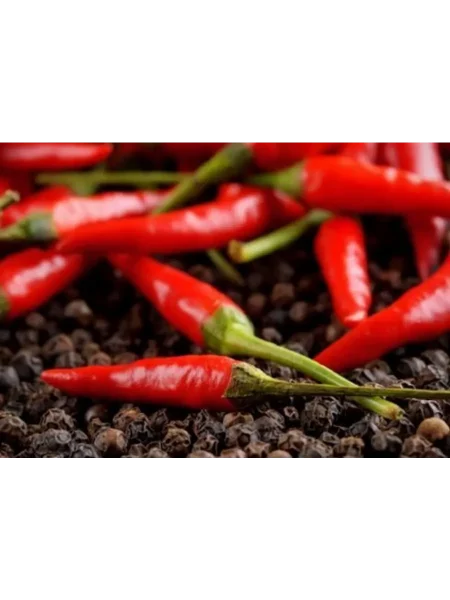 zhguchiy-us-main-185491